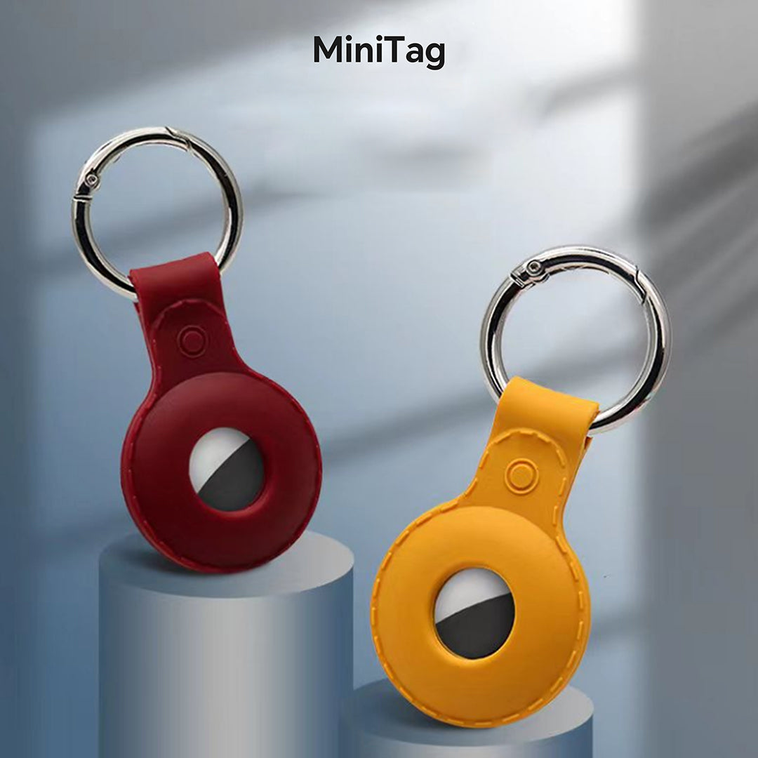 Accessory Type A1 for MiniTAG Pro
