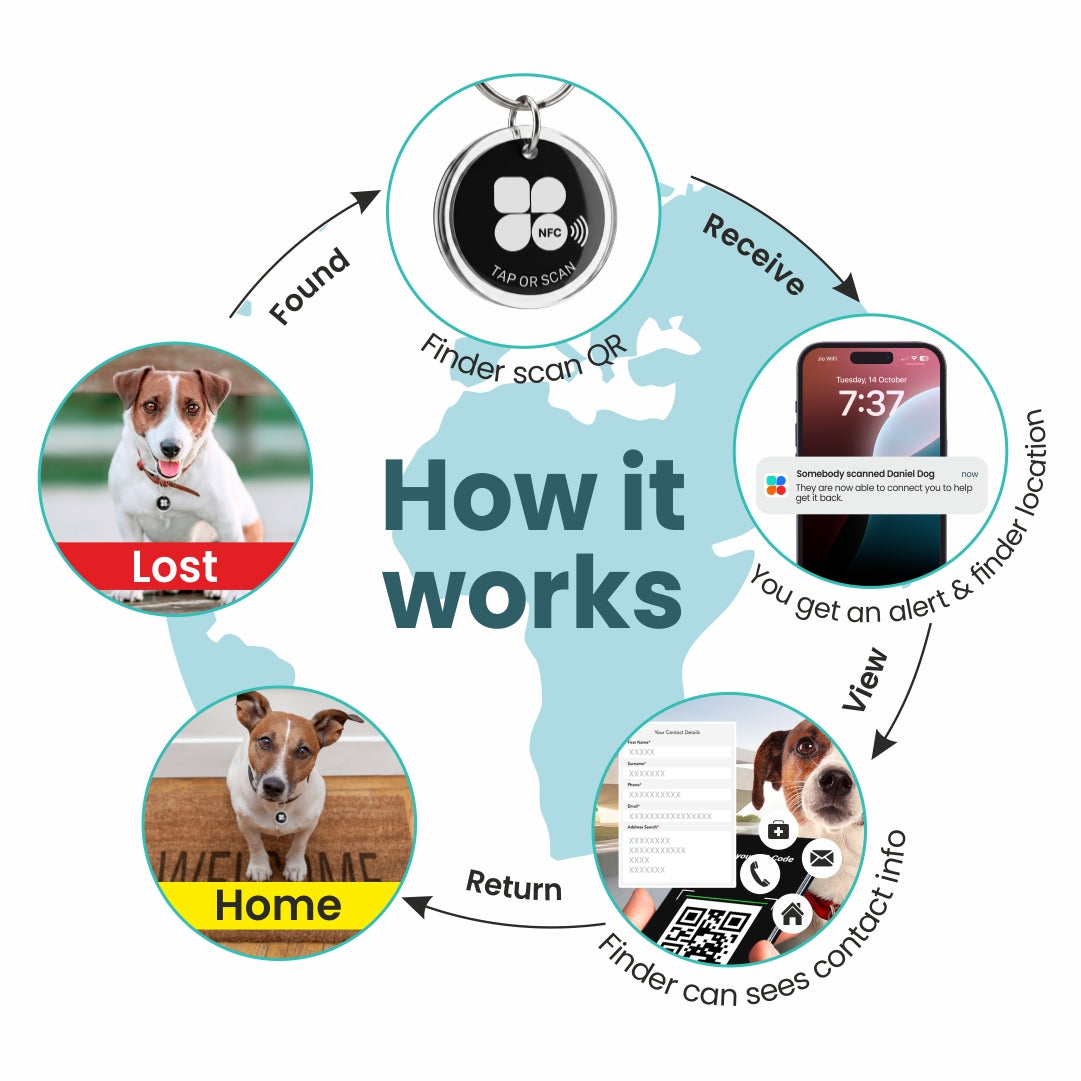Call & Locate TouchTAG Lite